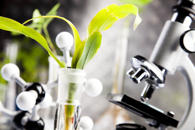 Eco Labs